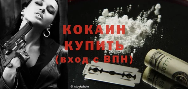прущие грибы Бугульма