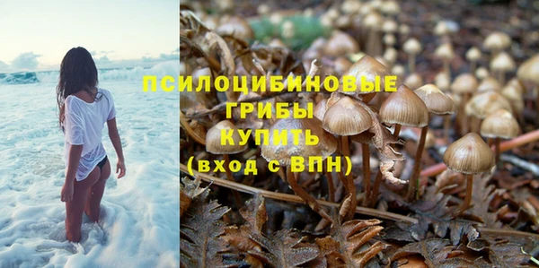 прущие грибы Бугульма