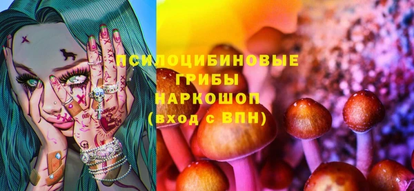 дживик Покачи