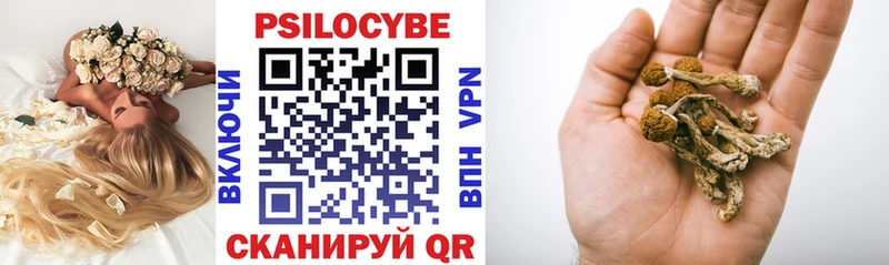 купить закладку  Волосово  Галлюциногенные грибы Psilocybine cubensis 